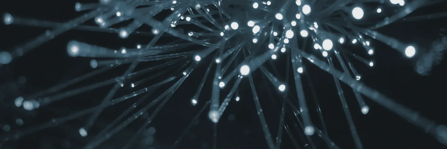 Fine optical fibres fanning out from a bundle, each strand lit at its tip.